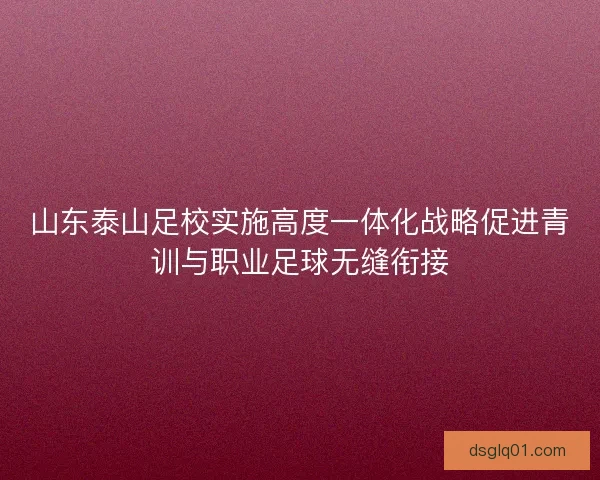 山东泰山足校实施高度一体化战略促进青训与职业足球无缝衔接