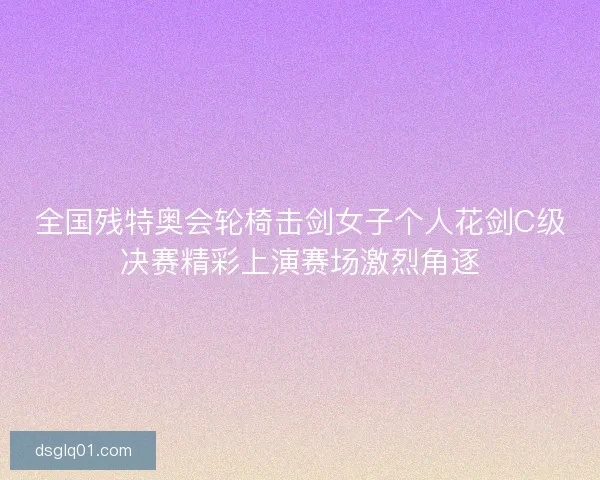 全国残特奥会轮椅击剑女子个人花剑C级决赛精彩上演赛场激烈角逐