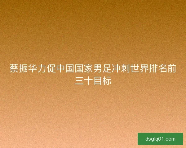 蔡振华力促中国国家男足冲刺世界排名前三十目标